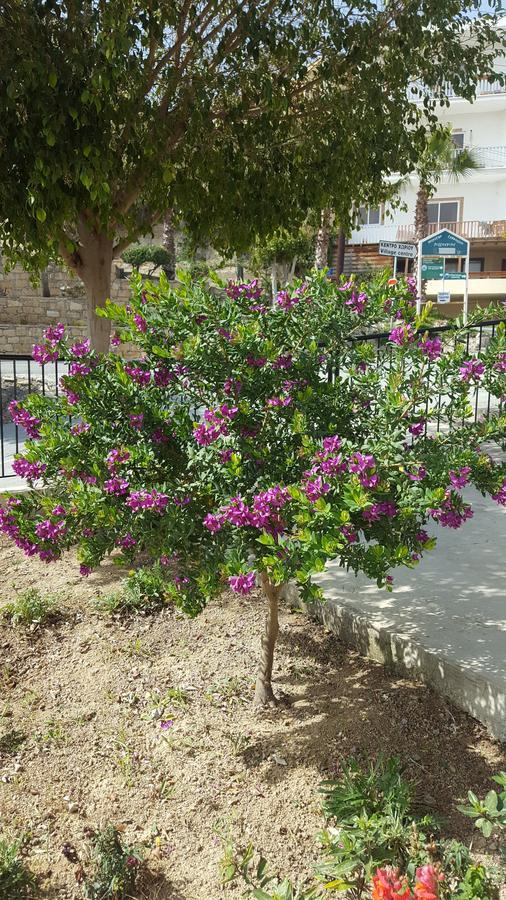 Lazaros Pissouri Apartments ภายนอก รูปภาพ