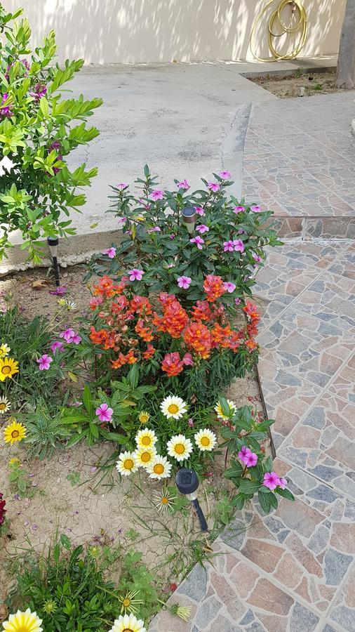 Lazaros Pissouri Apartments ภายนอก รูปภาพ